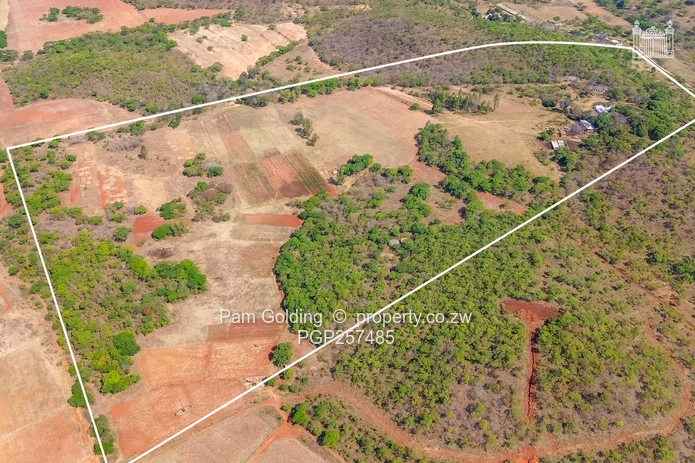 Bromley Farm - 41 Hectare Estate For Sale