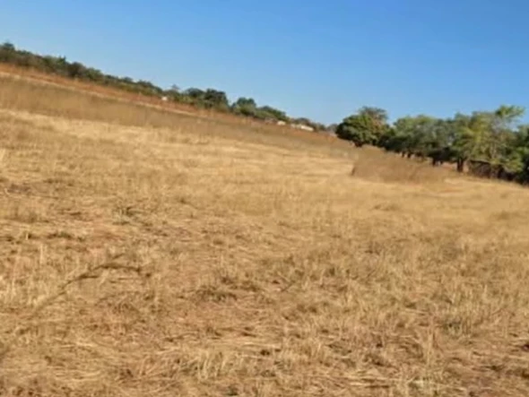 Farm & Agricultural Land