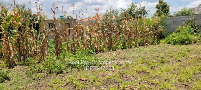 Sandton House For Sale