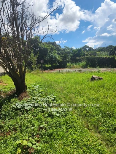 Greystone Park: 4-Bed Home on 9,185 m² with Pool & Borehole