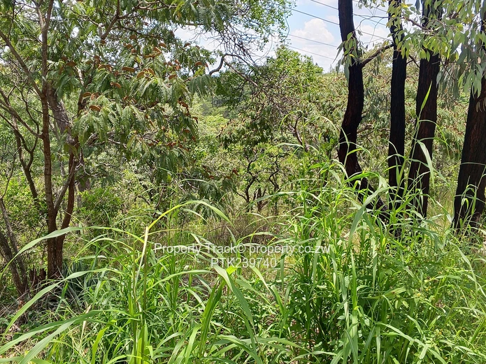 Excellently Positioned!