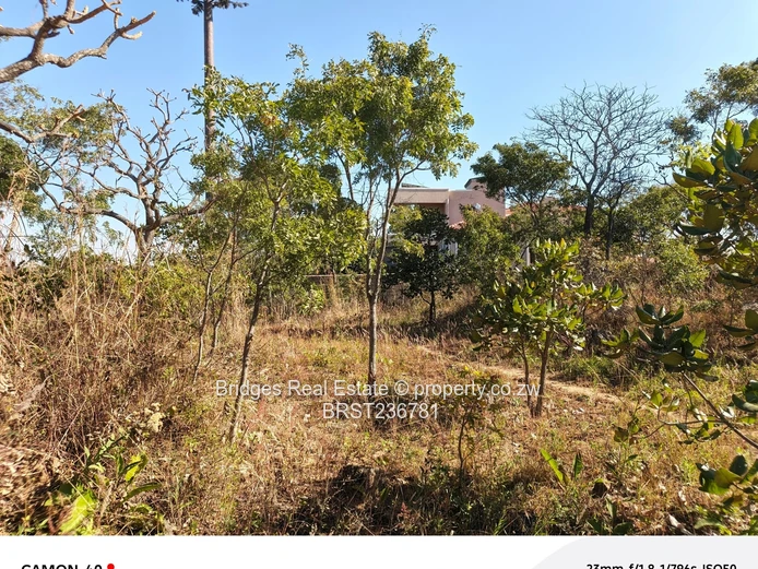 Awesoment investment