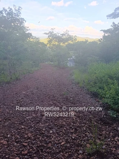 Build your dream home