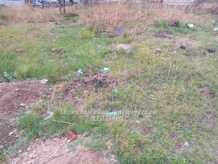  Ready to Build Stand in Cold Comfort. 