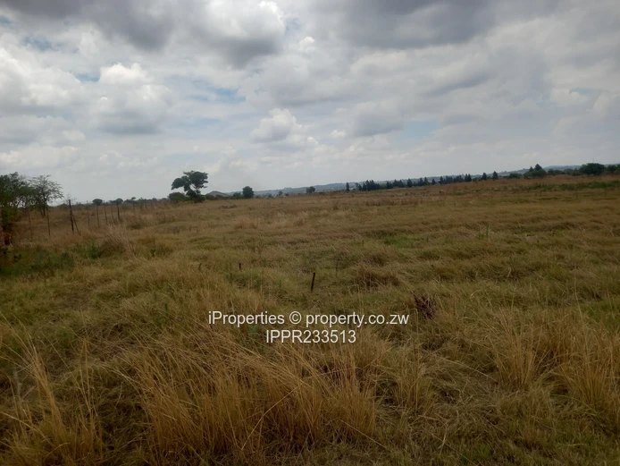 A 2.6Ha plot in Rainham is available for sale at $130000