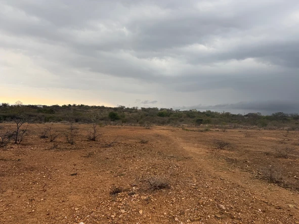 Farm & Agricultural Land