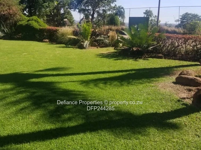 Investment opportunity 