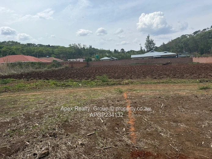 Glen Lorne Stand For Sale (Sole Mandate)