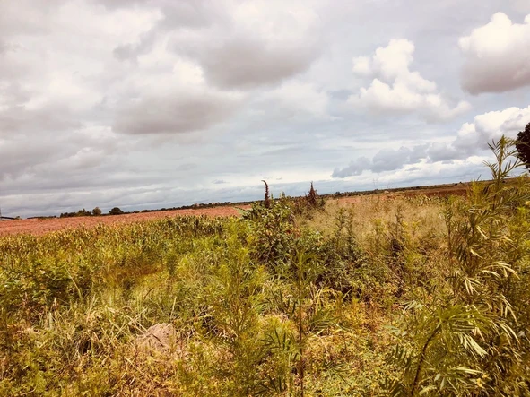 Chitungwiza Industrial Stand for Sale