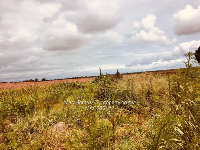 Chitungwiza Industrial Stand for Sale