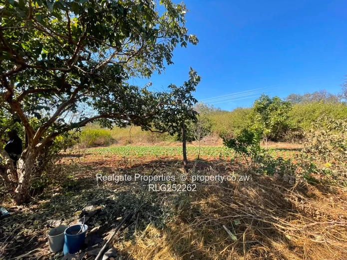  Prime 5-Acre Plot For Sale | Douglasdale