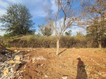 Commercial & Industrial Land