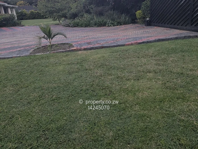 Highlands park cottage to rent 