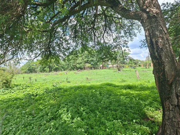 Farm & Agricultural Land