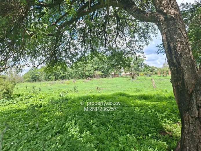 Beatrice Farm for sale