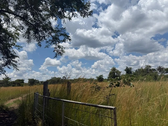 Farm & Agricultural Land