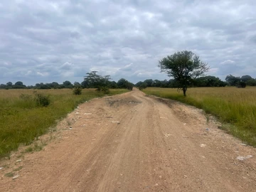 Farm & Agricultural Land