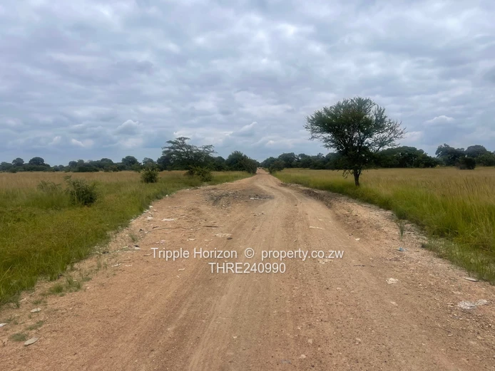 18,000m² Norton Farm — Orchard, Grazing & Main Access