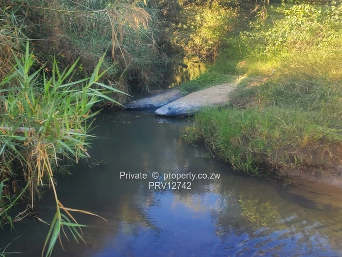 2 options available is a 5ha MARONDERA FARM PLOTS  FOR SALE and 2.Nyazura Farm 51ha size (Sole Mandate)
