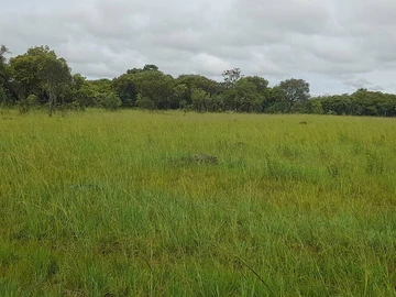 Farm & Agricultural Land