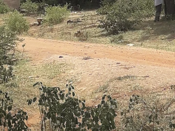 Farm & Agricultural Land