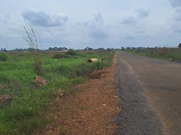 Stands & Residential Land