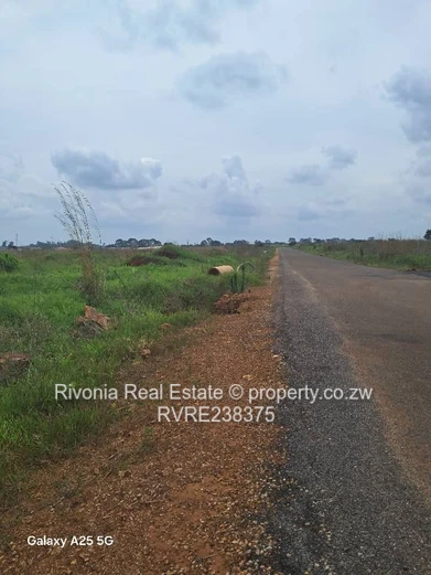 Nyeredzi Pomona stands fully serviced 