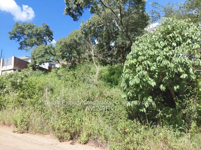 Glen Lorne (Mother Care area)