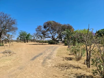 Farm & Agricultural Land