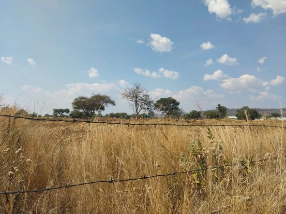 Farm & Agricultural Land