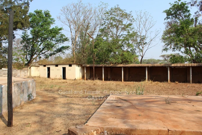 Great Investment Opportunity in an Urban Area