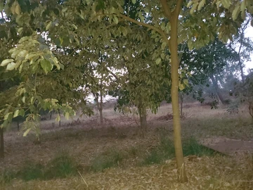 Commercial & Industrial Land