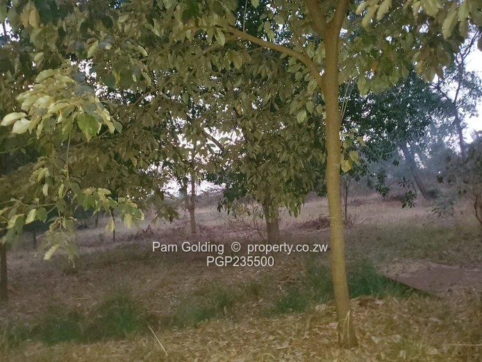 Potential commercial stand on Kirkman Road (Sole Mandate)