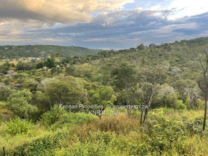 Helensvale - Just listed  - 2 stands for sale with views  	