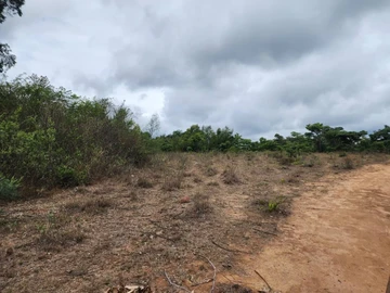 Farm & Agricultural Land