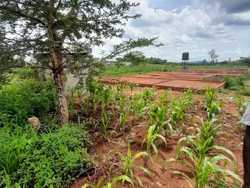 Stands & Residential Land