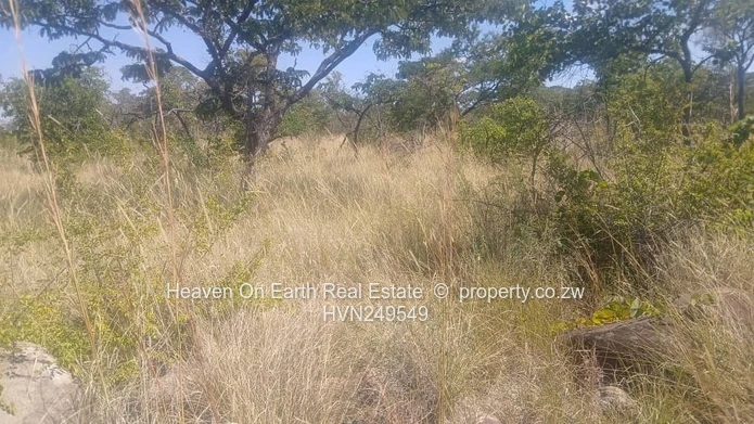 Plots for sale