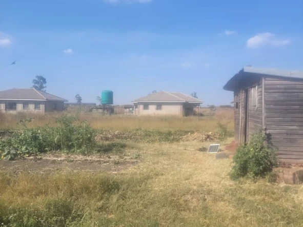 Stands & Residential Land