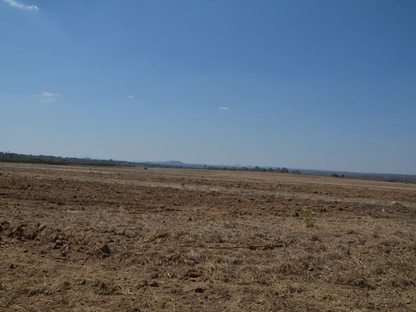 Farm & Agricultural Land
