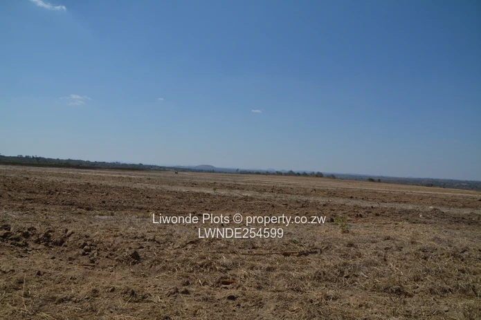 1ha Goromonzi Farm — Arable Field by Gravel Main Road