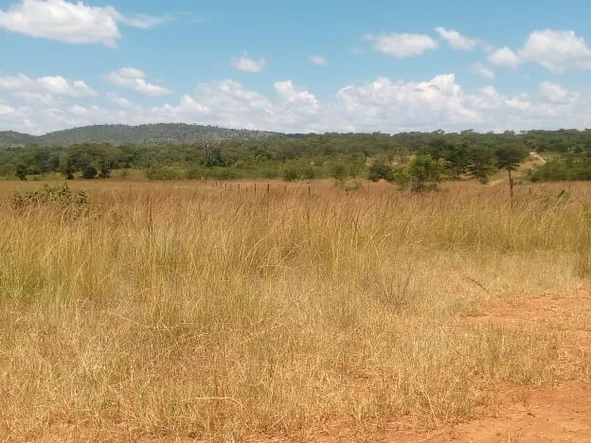 Farm & Agricultural Land