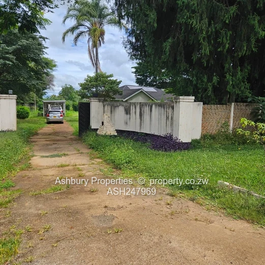Compact Cosy Rental House Readily Available (Sole Mandate)