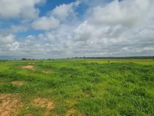 Farm & Agricultural Land