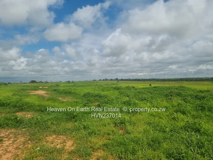 Green Gold For You Farmers!!