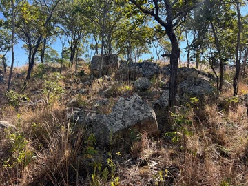 Farm & Agricultural Land