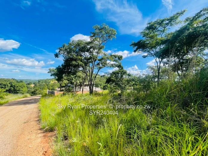 Hatfield Stand For Sale