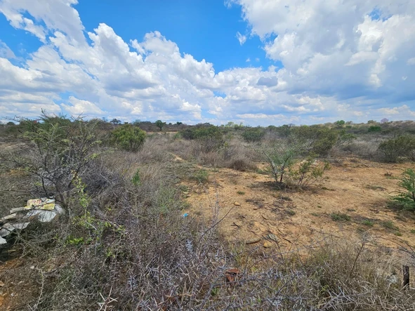 Farm & Agricultural Land