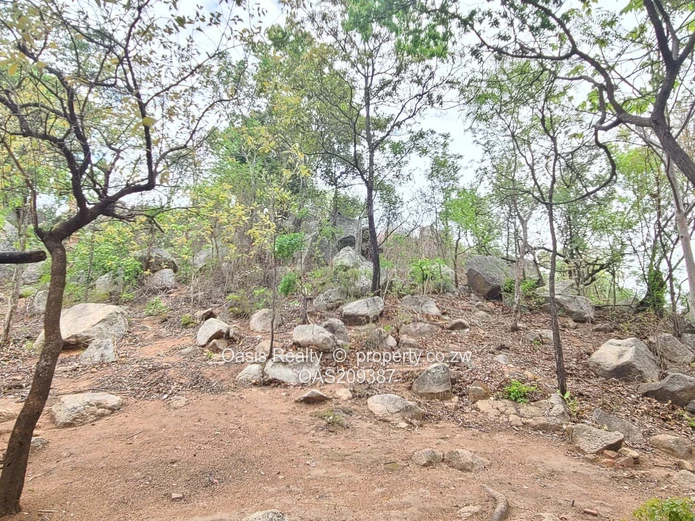 Agro-residential plot for sale in Christon Bank 