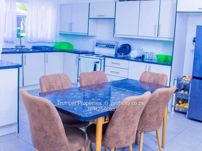 Fully Furnished Lodge in Binga — Modern Kitchen & Courtyard