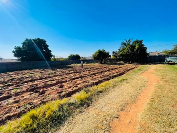 Stands & Residential Land
